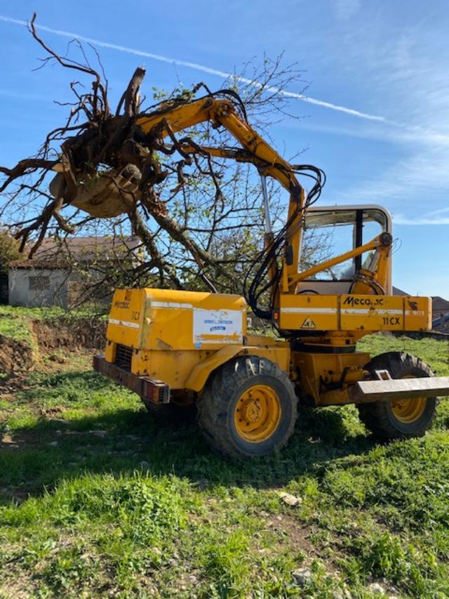 Dessouchage arbre à Nancy